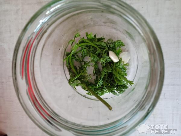 Рецепт: Маринованные помидоры с морковной ботвой - Очень вкусные и без заморочек: с уксусом и без него