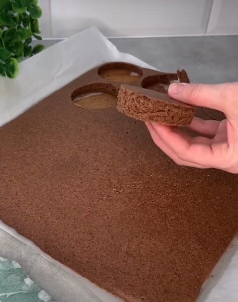 Кремовое пирожное с джемом и шоколадным бисквитом. Изысканный десерт: вкус словами не передать