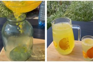 Лимонад из Стамбула. Как приготовить вкусный и яркий турецкий лимонад: освежающий восточный напиток