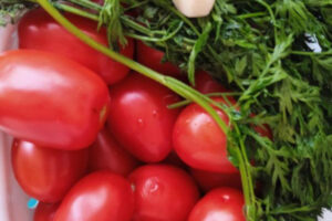 Рецепт: Маринованные помидоры с морковной ботвой — Очень вкусные и без заморочек: с уксусом и без него