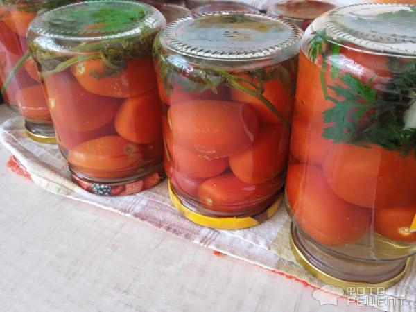 Рецепт: Маринованные помидоры с морковной ботвой - Очень вкусные и без заморочек: с уксусом и без него