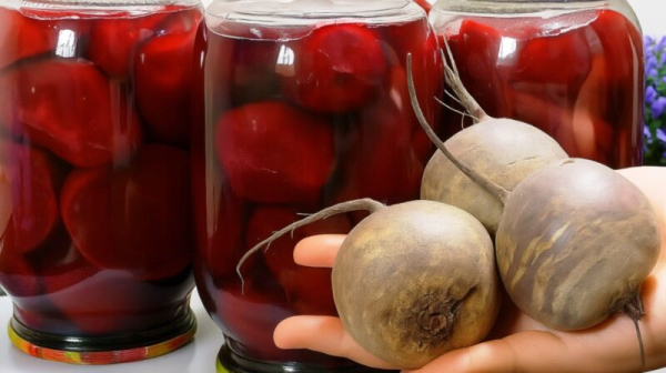 Маринованная свекла на зиму: идеальная закуска, гарнир и основа для салатов. Универсальная заготовка